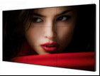 49 inch Commercial 10 point touch and fast response Monitor